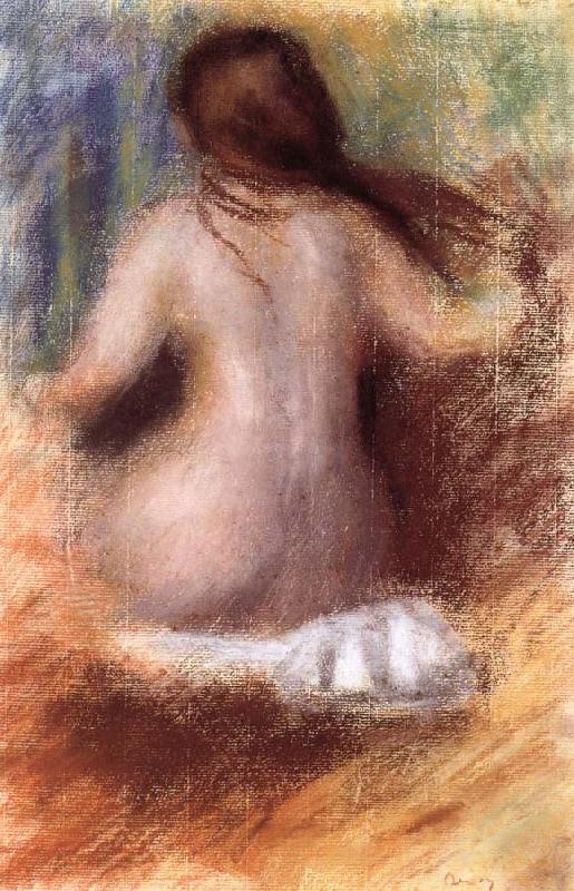 nude rear view, Pierre Auguste Renoir